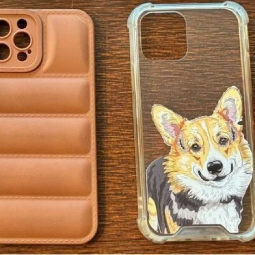 2 Used IPhone 12 Pro Phone Cases